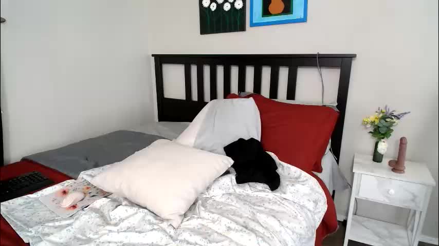 sheilyn_smith Adult Chat February 4, 2026