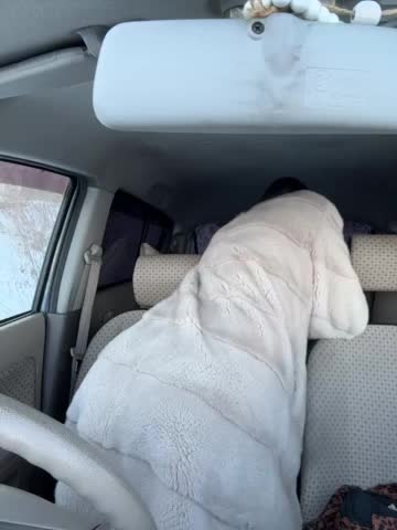 HOT_honey Adult Chat February 4, 2026