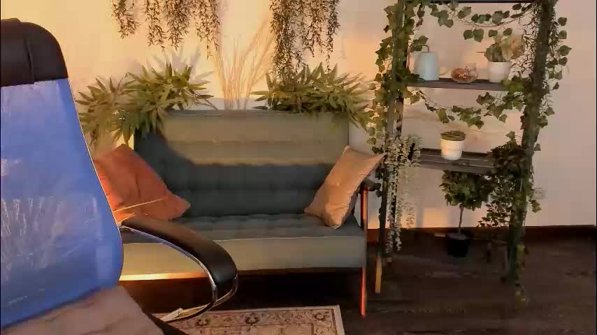 elainebeness Adult Chat February 4, 2026