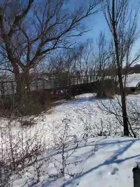 Alex80-201 Adult Chat February 4, 2026