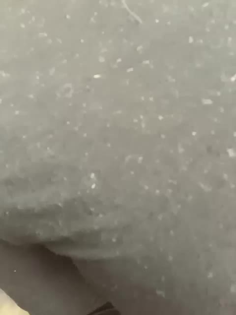 Stasya-moor Adult Chat February 7, 2026