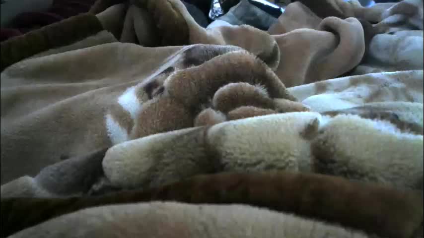 ebonyendebeest Adult Chat February 7, 2026