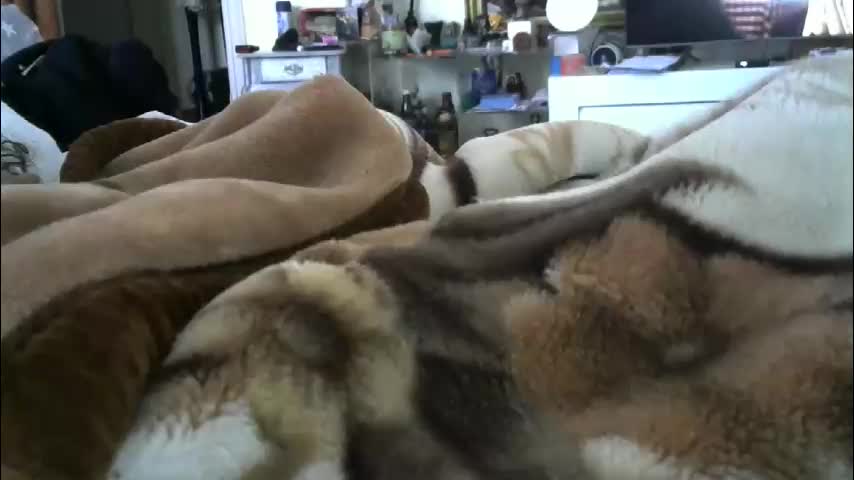 ebonyendebeest Adult Chat February 7, 2026