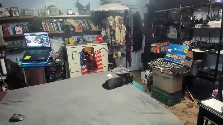 pink_black Adult Chat February 7, 2026