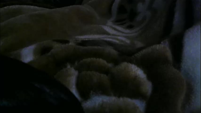 ebonyendebeest Adult Chat February 7, 2026