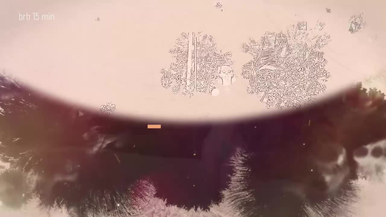 Taanni Adult Chat February 7, 2026