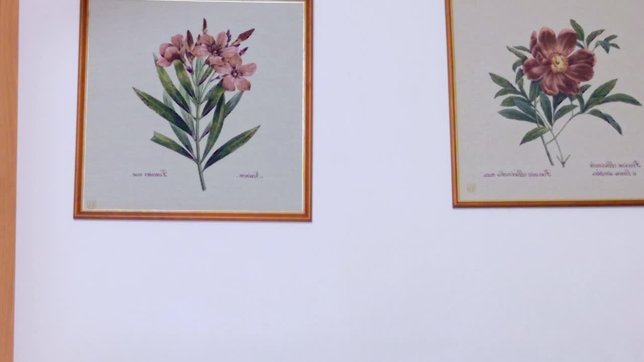 HardCandyBaby Adult Chat February 8, 2026