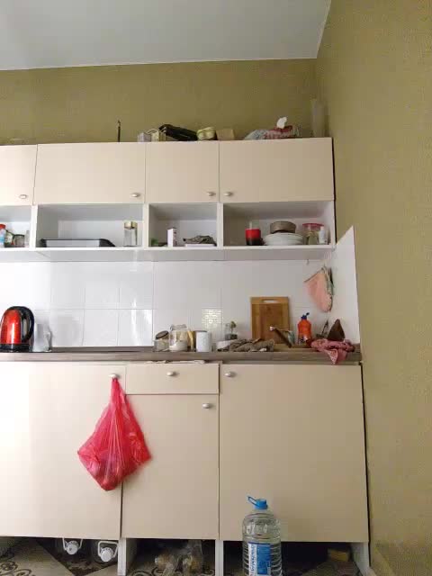 -Tiffany- Adult Chat February 8, 2026