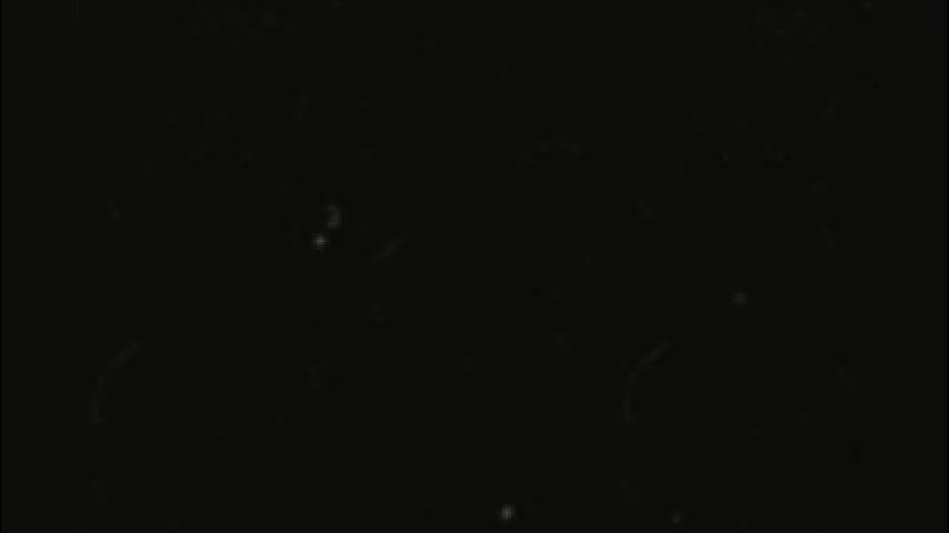 rockstarsgames Adult Chat February 8, 2026