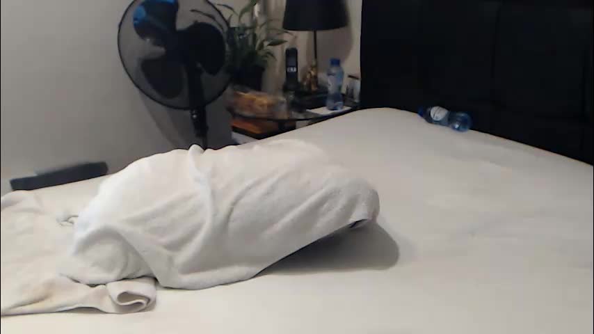 passiekoppel Adult Chat February 8, 2026