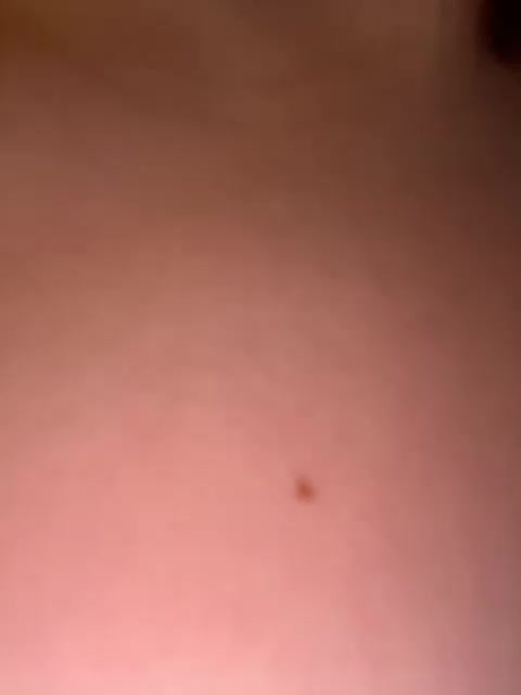 salatt Adult Chat February 8, 2026