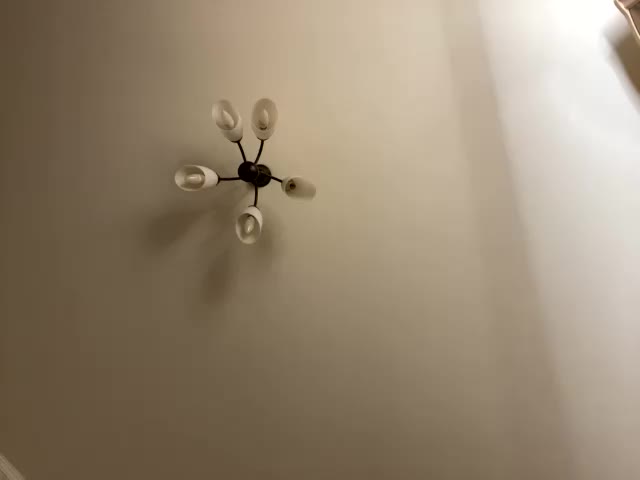 HellMor Adult Chat February 8, 2026