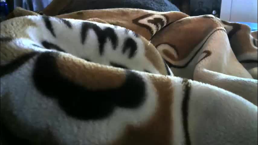 ebonyendebeest Adult Chat February 8, 2026