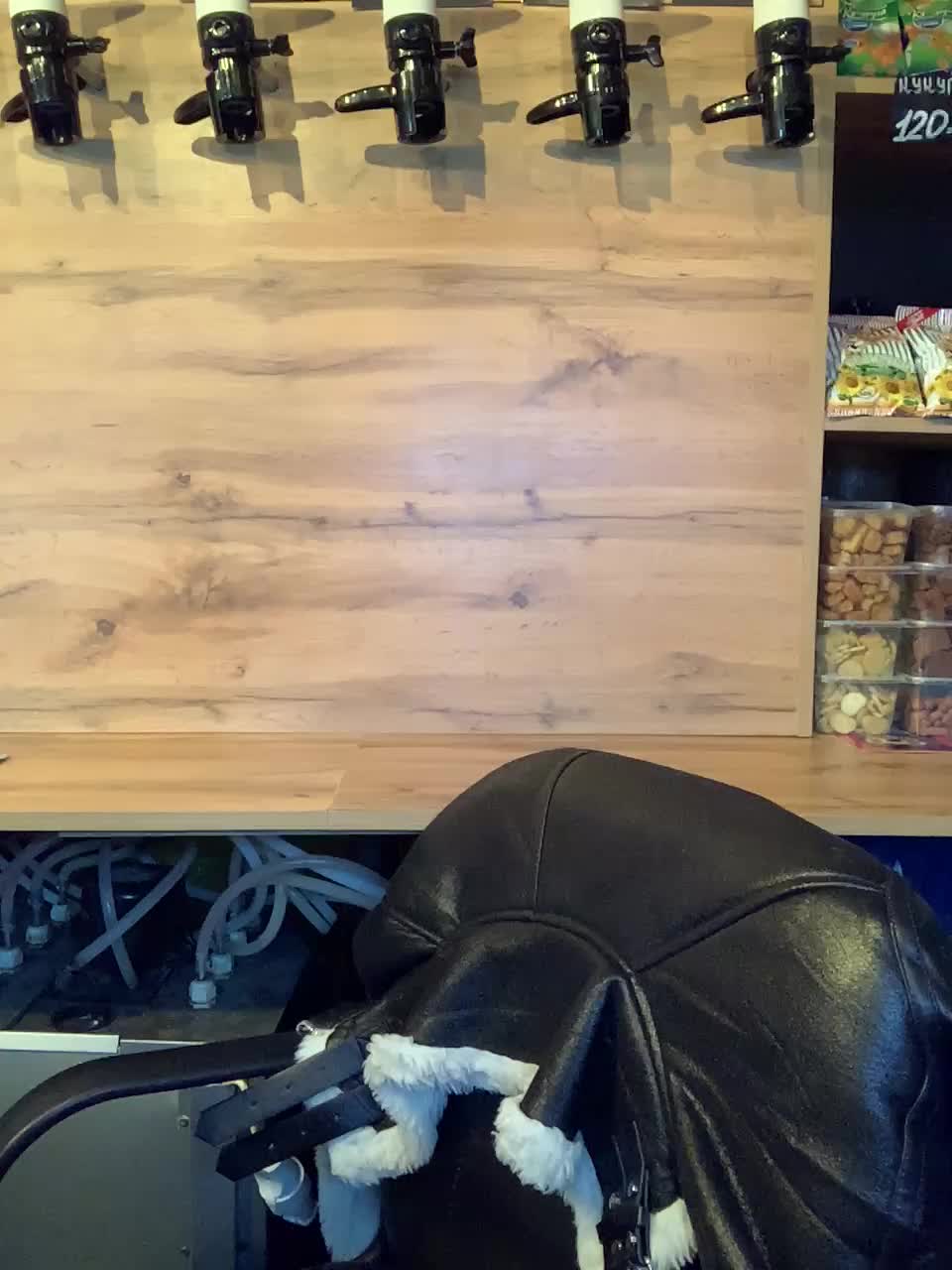 Yummypopka Adult Chat February 8, 2026