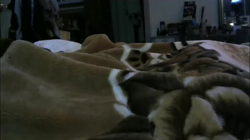 ebonyendebeest Adult Chat February 8, 2026