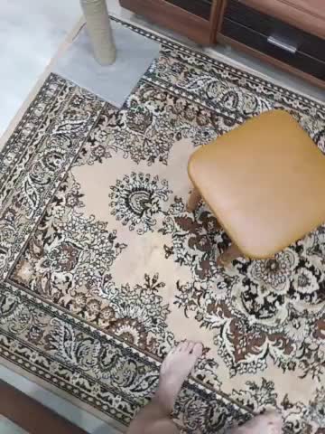 SexyCouple69 Adult Chat February 8, 2026