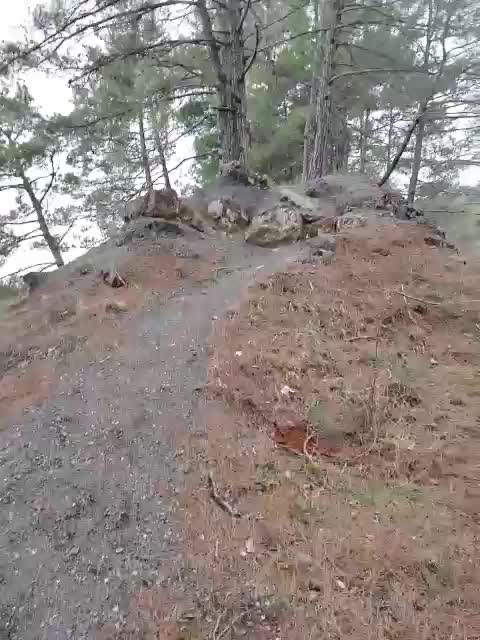 Alex80-201 Adult Chat February 9, 2026