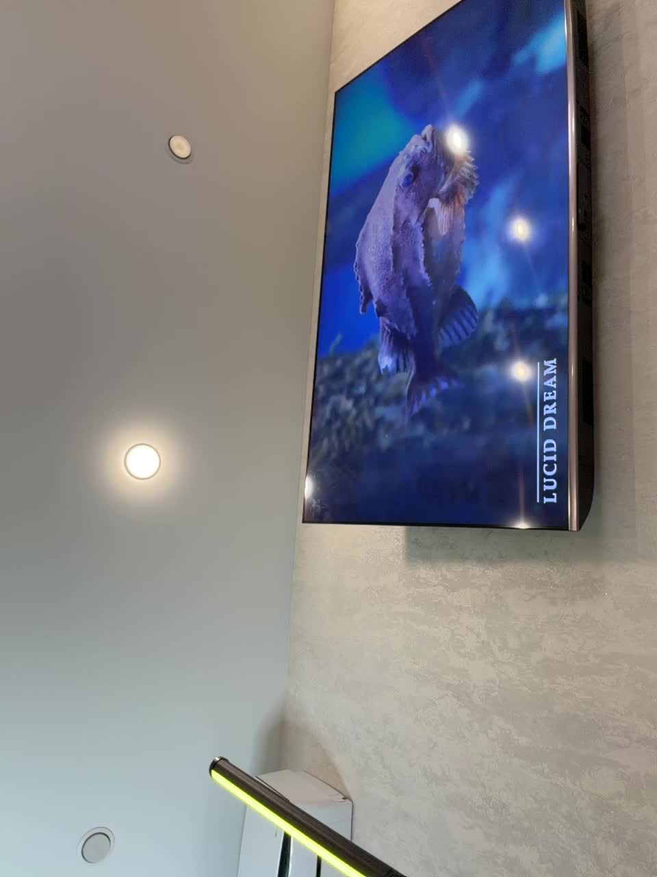 _Ellidi_ Adult Chat February 9, 2026