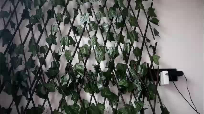 karoline121 Adult Chat February 9, 2026