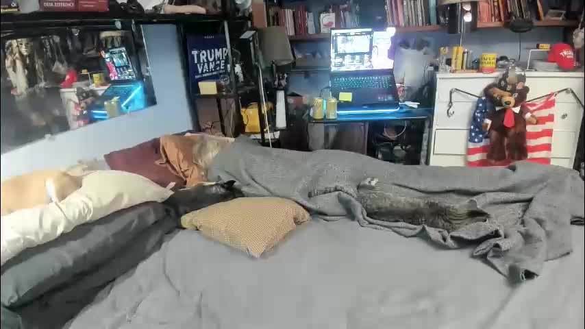 pink_black Adult Chat February 10, 2026