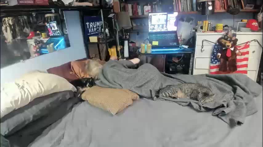 pink_black Adult Chat February 10, 2026