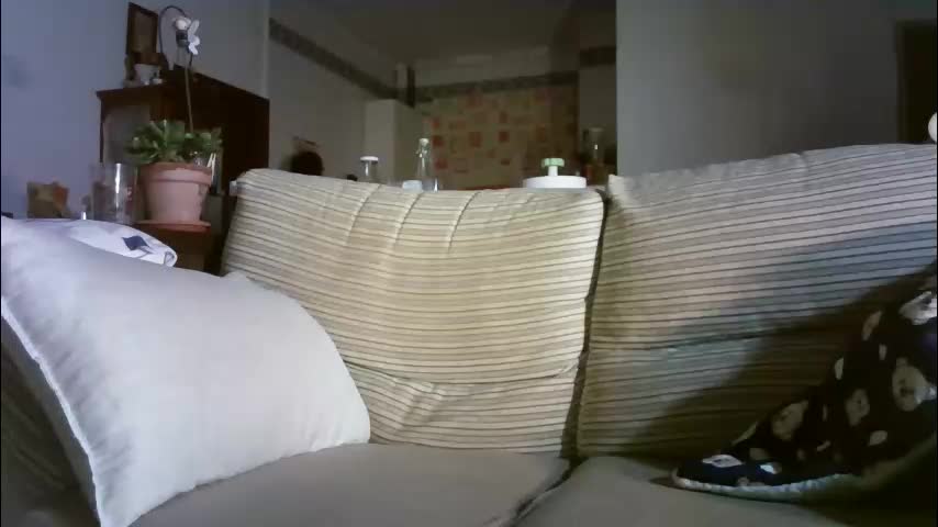 lolahueso Adult Chat February 10, 2026