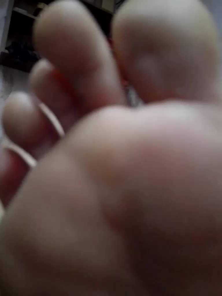 ReversoContex Adult Chat February 9, 2026