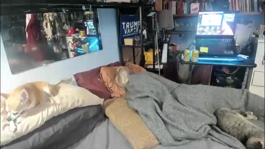 pink_black Adult Chat February 10, 2026