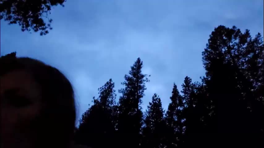 shy_college_girl Adult Chat February 10, 2026