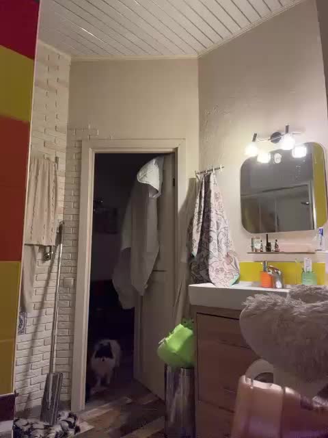 Tvoyasamka77 Adult Chat February 10, 2026