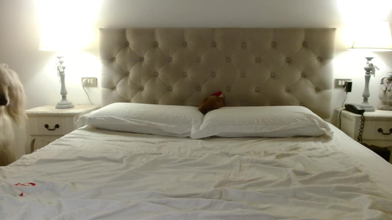 Sweet_Perry Adult Chat February 10, 2026