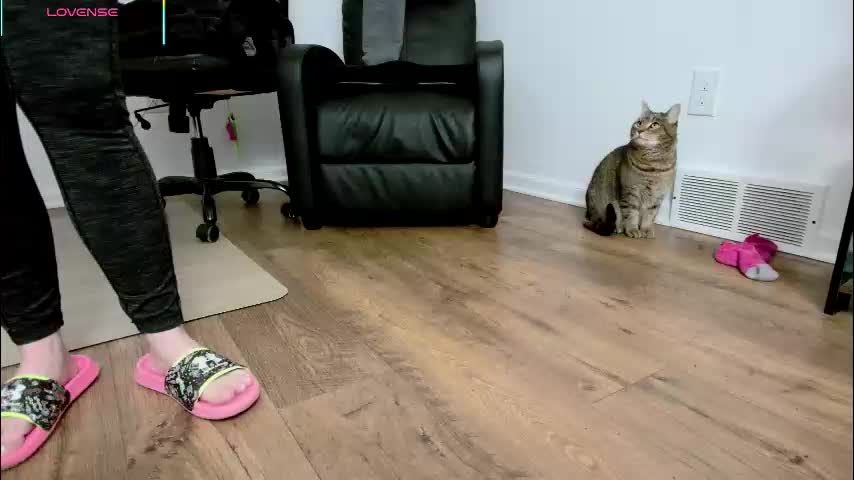 jjjust4fun1985 Adult Chat February 10, 2026