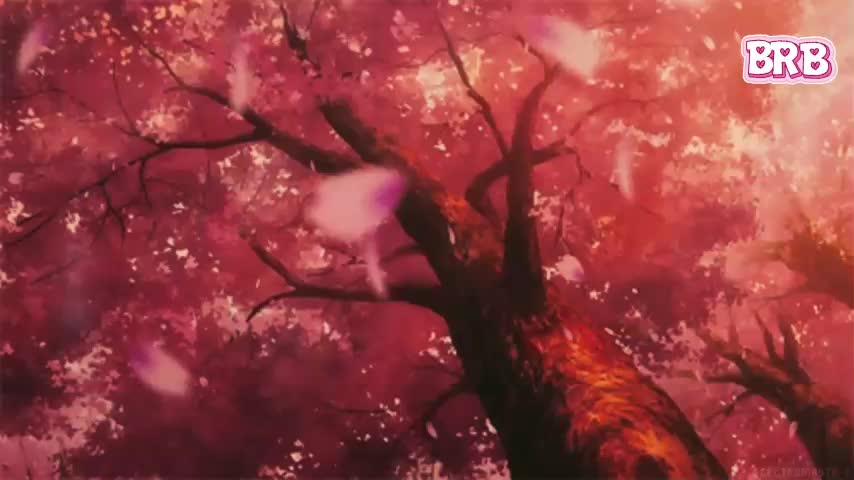 Akiame Adult Chat February 10, 2026