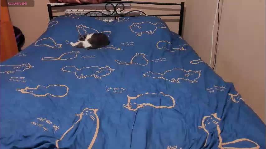 eva_zero Adult Chat February 11, 2026