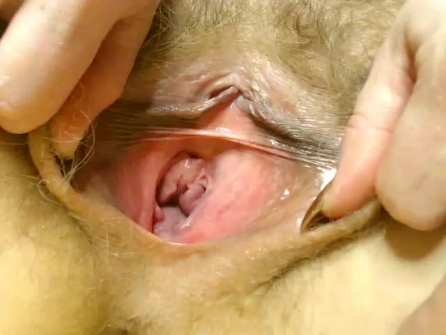 Marina-lady Adult Chat February 11, 2026