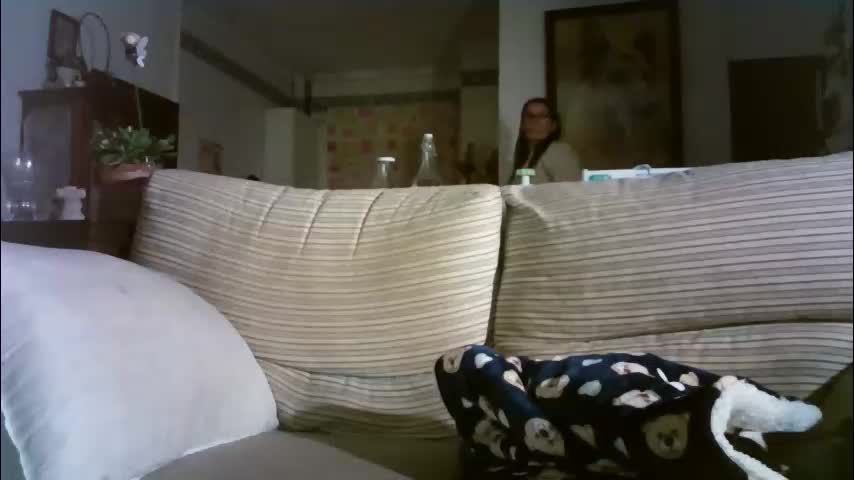 lolahueso Adult Chat February 11, 2026