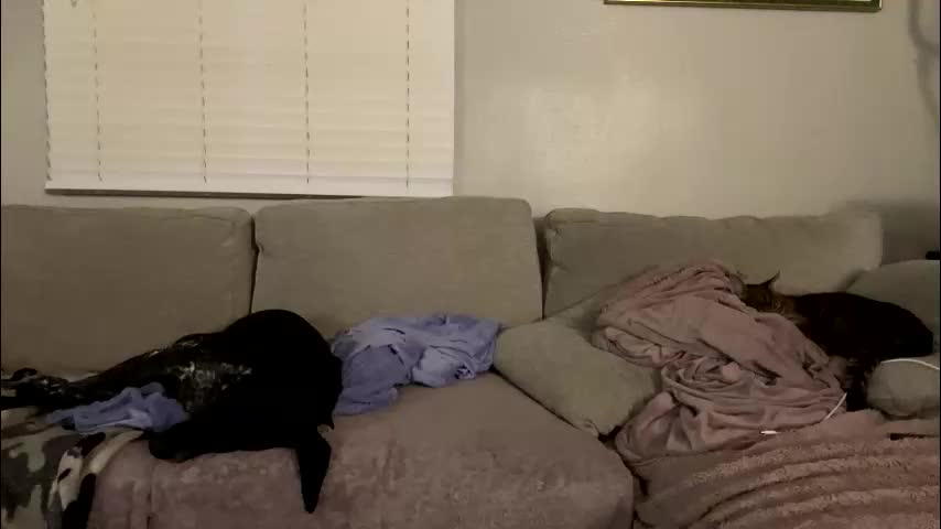 goddessmayvn Adult Chat February 11, 2026