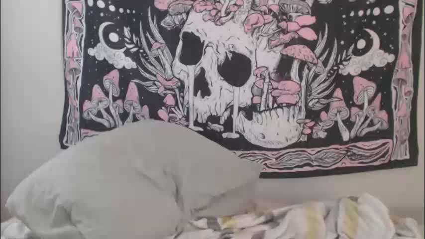 echosol17 Adult Chat February 11, 2026