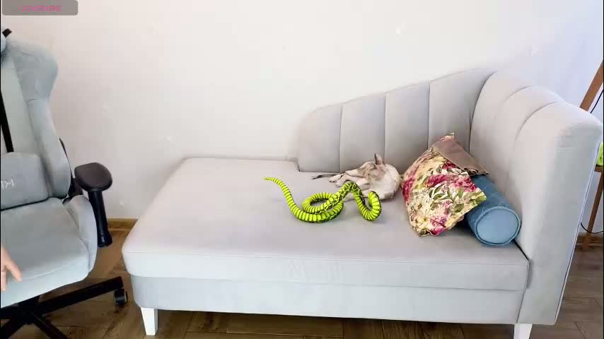 gardner_ava Adult Chat February 11, 2026