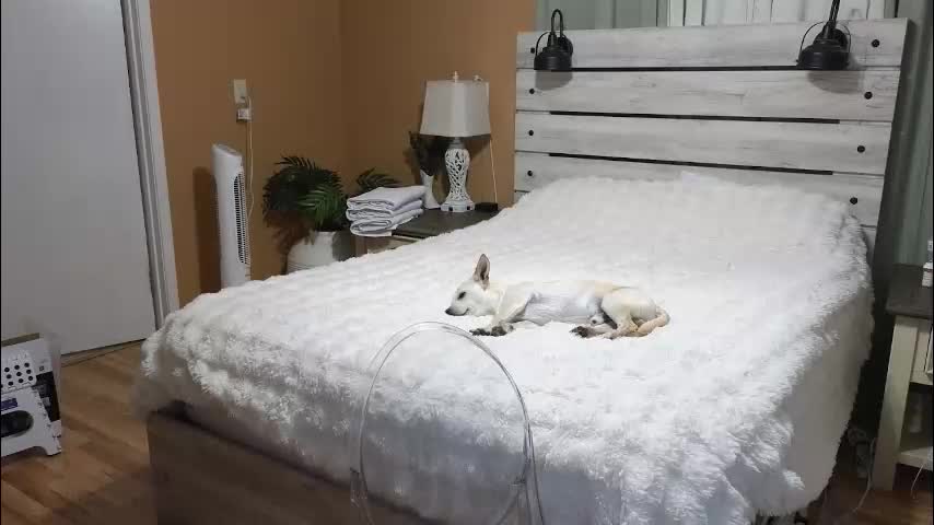 julianaxxxrose Adult Chat February 11, 2026