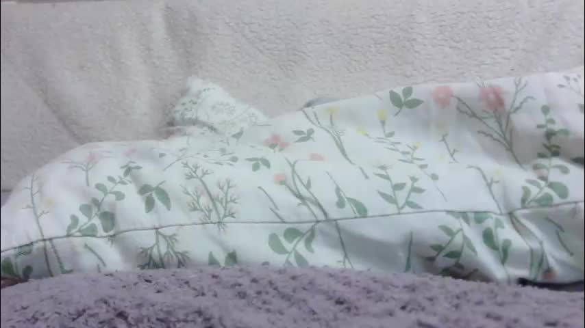 lenorrr Adult Chat February 12, 2026