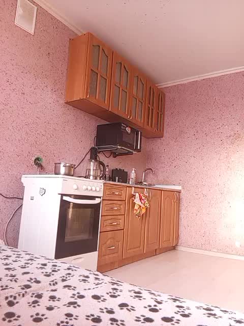 exnasisi Adult Chat February 12, 2026