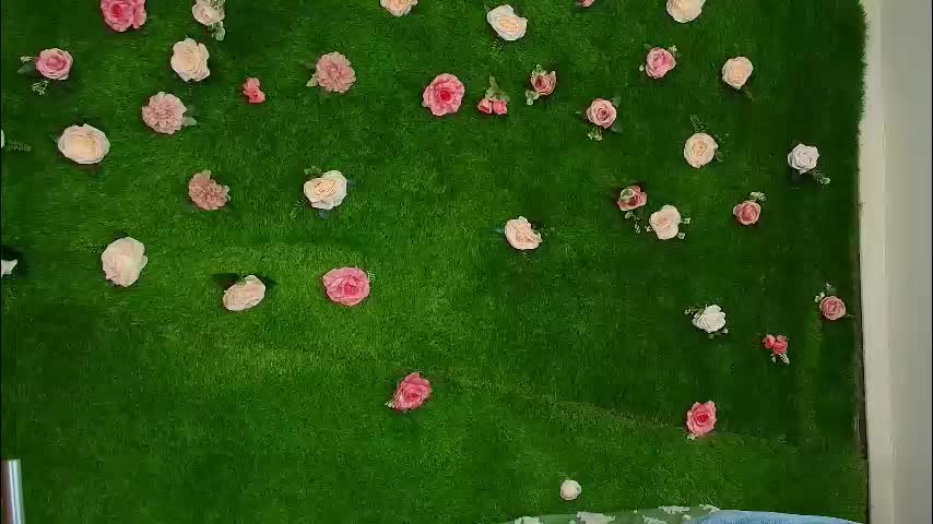 megatitts_ Adult Chat February 12, 2026