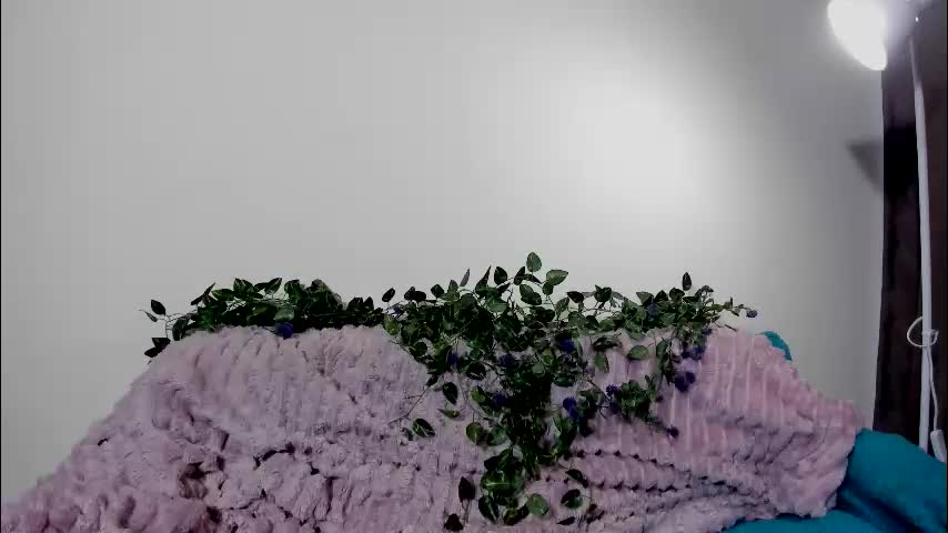 vergill_hella Adult Chat February 12, 2026