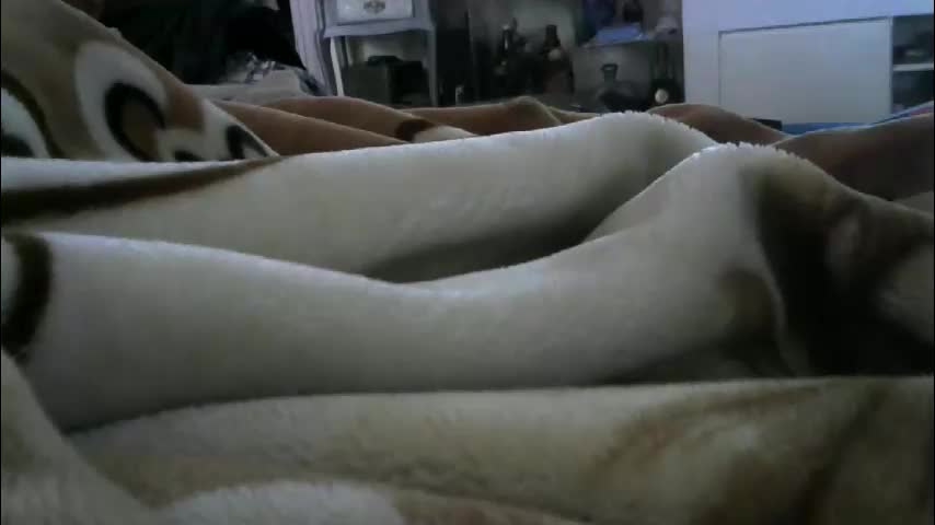 ebonyendebeest Adult Chat February 12, 2026