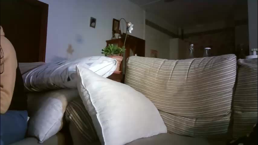 lolahueso Adult Chat February 13, 2026