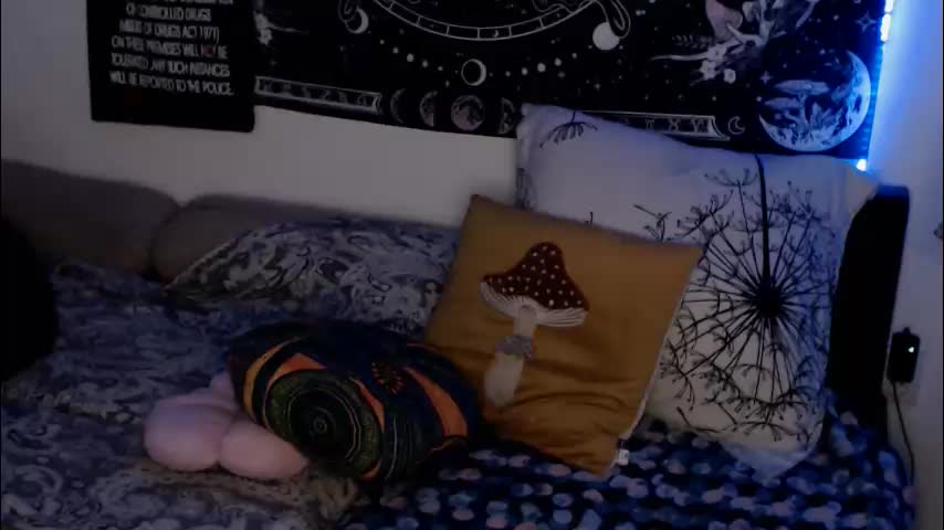 aliens4twenty Adult Chat February 13, 2026