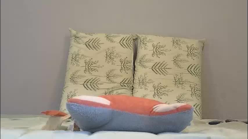 mattxfeet Adult Chat February 13, 2026