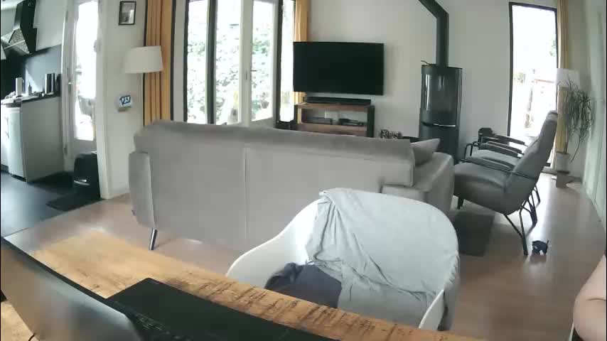 woodwurm Adult Chat February 13, 2026