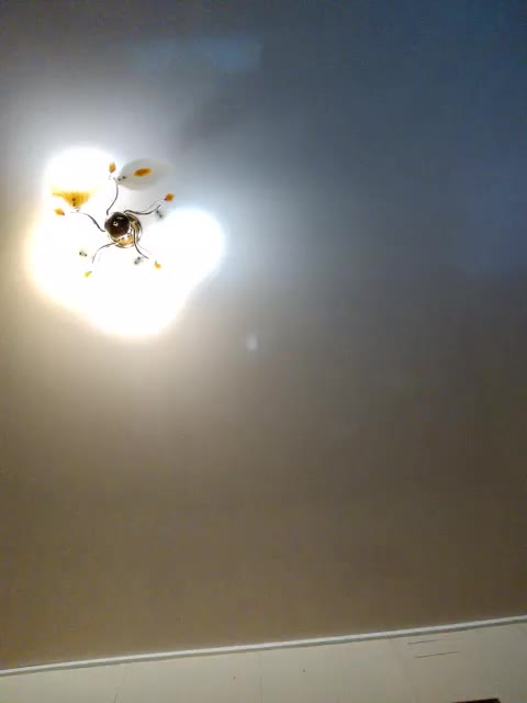 LisaOlesya Adult Chat February 14, 2026